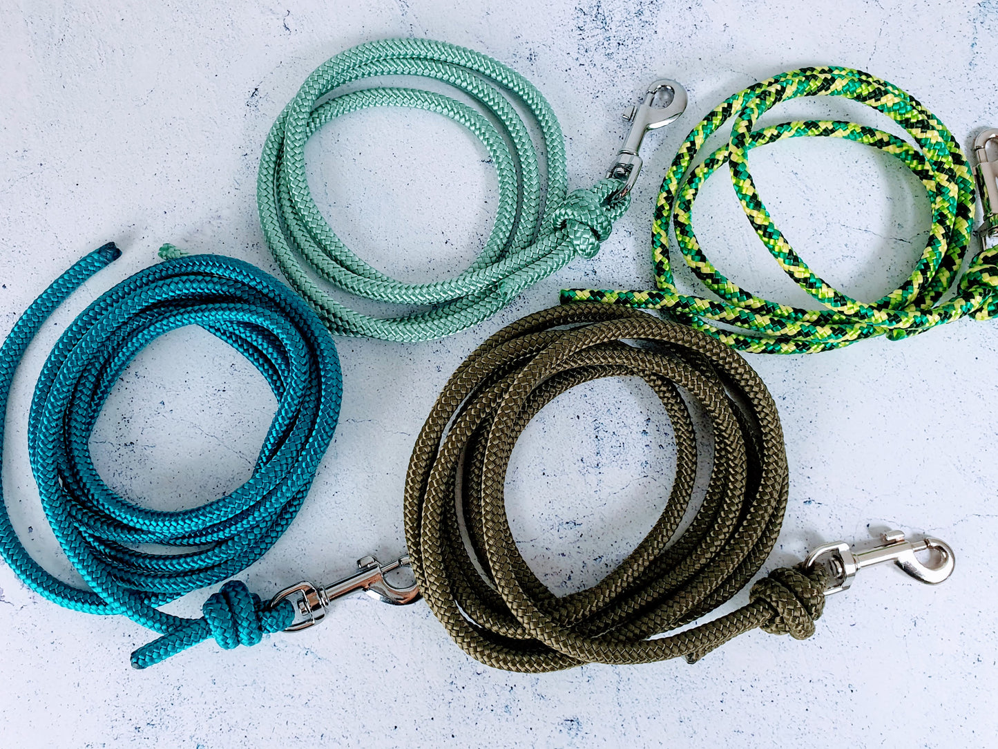Hausleine für Welpen und erwachsene Hunde aus 6mm Tau
