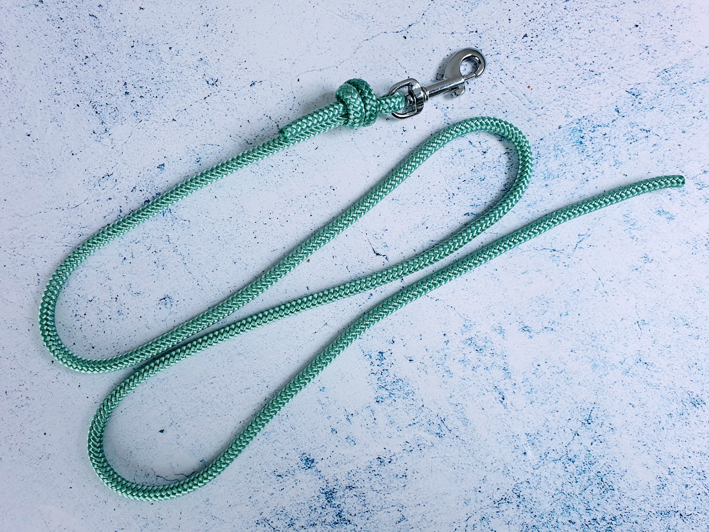 Hausleine für Welpen und erwachsene Hunde aus 6mm Tau