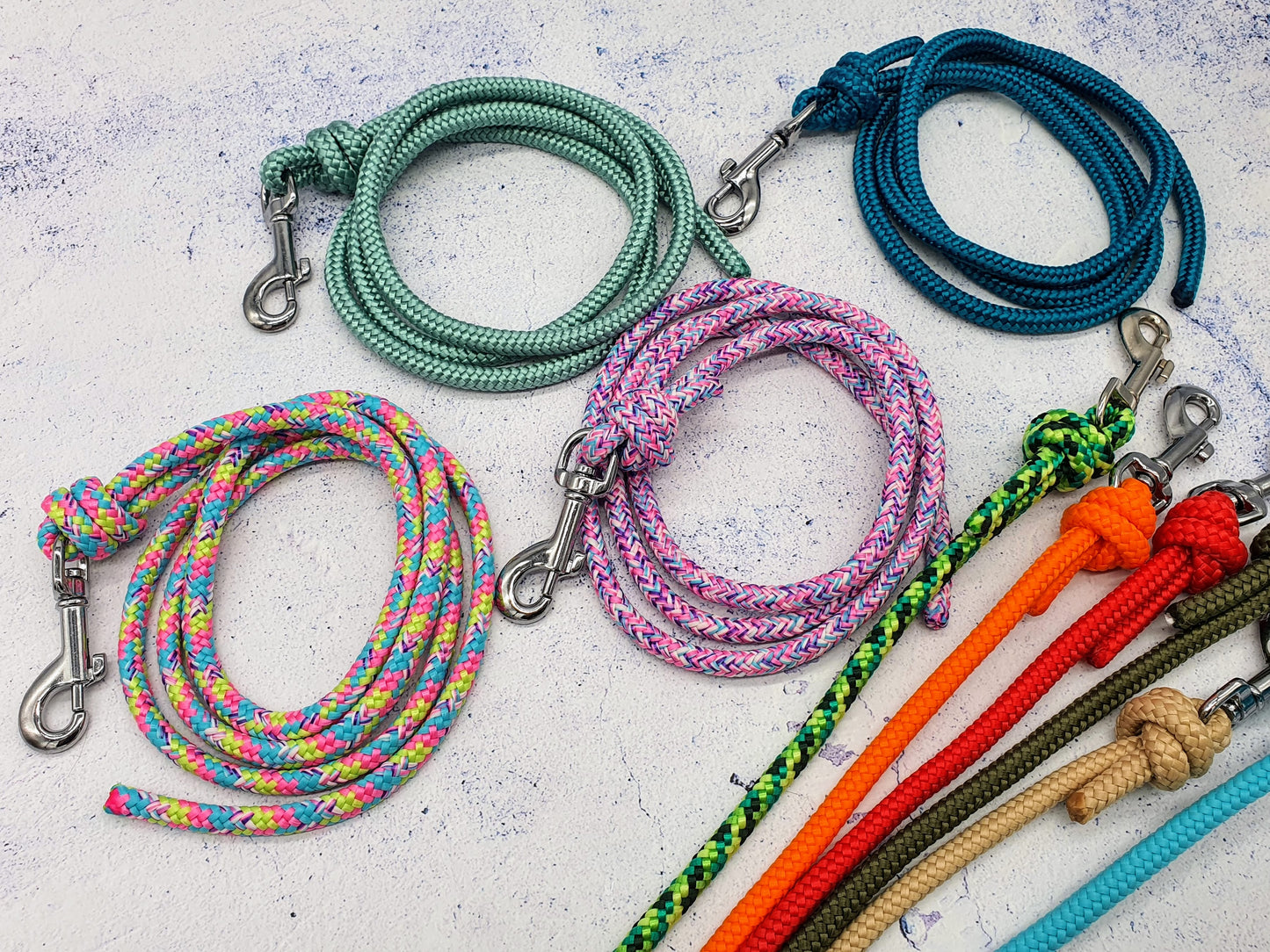 Hausleine für Welpen und erwachsene Hunde aus 6mm Tau