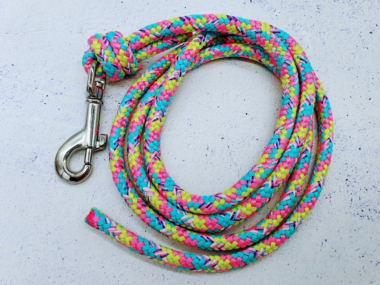 Hausleine für Welpen und erwachsene Hunde aus 6mm Tau