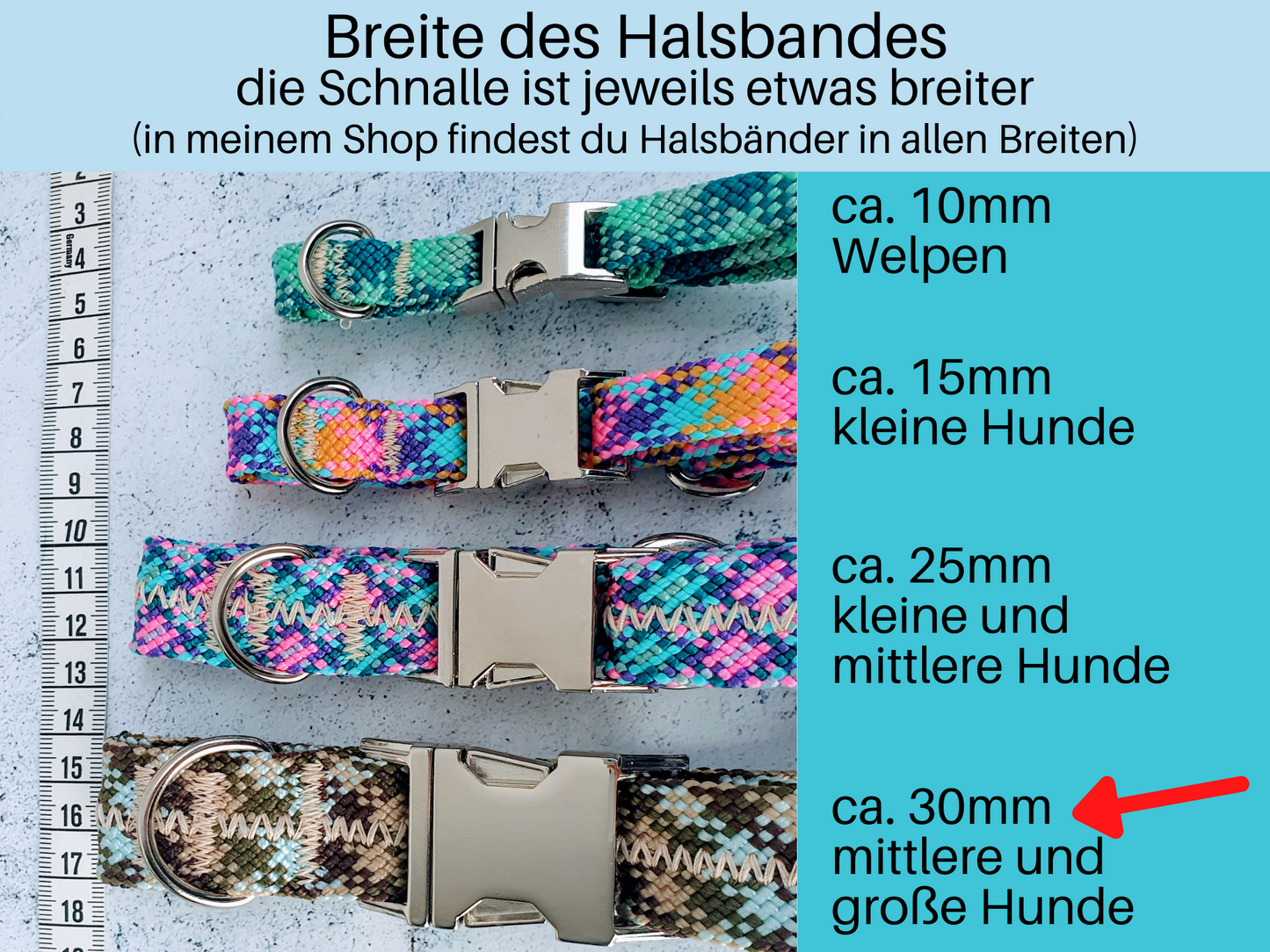 Verstellbares Halsband mit Schnalle oder Zugstopp für mittelgroße Hunde - ca. 3cm