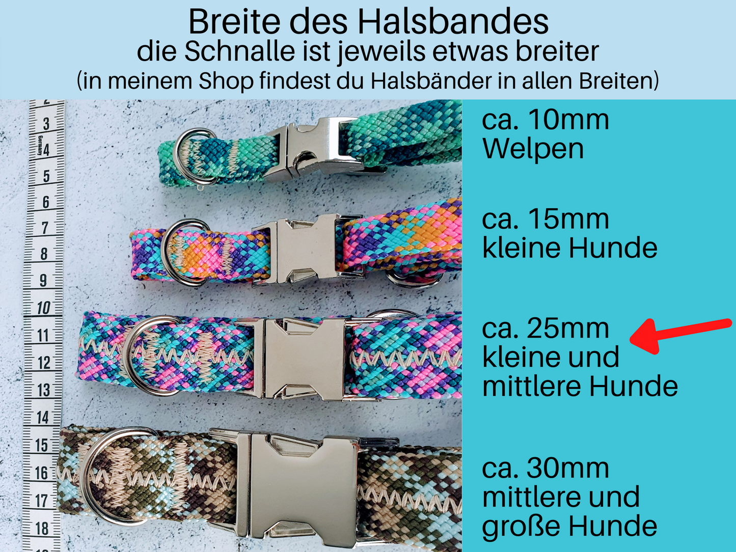 Verstellbares Halsband mit Schnalle oder Zugstopp für kleine bis mittelgroße Hunde - ca. 2,5cm