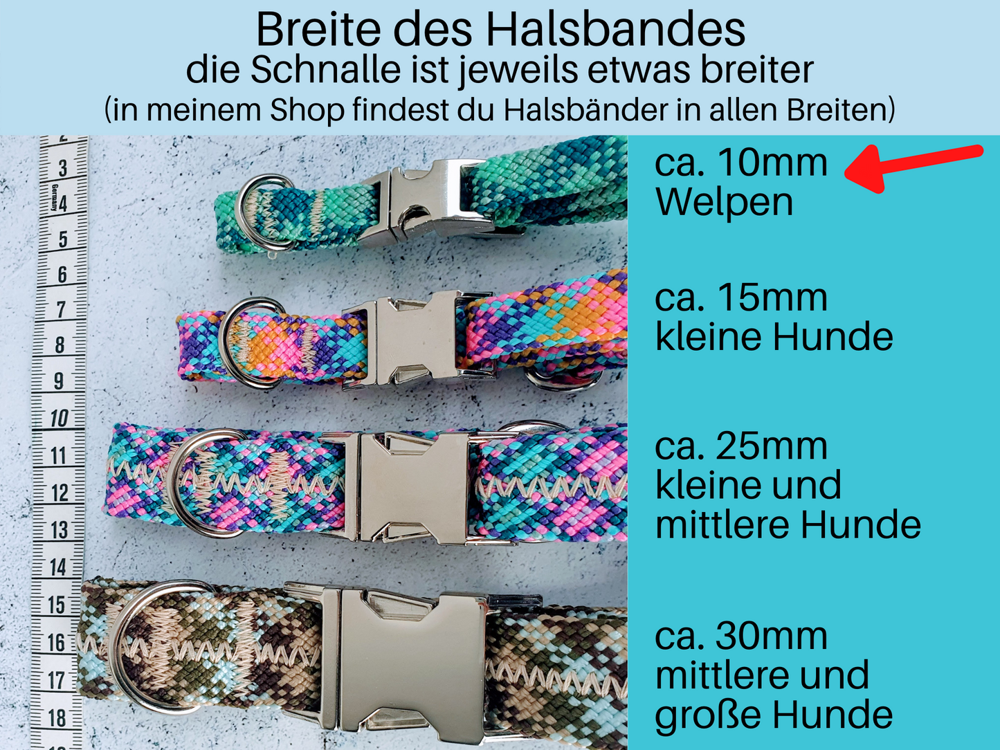 Verstellbares Halsband mit Schnalle oder Zugstopp für sehr kleine Hunde - ca. 1cm