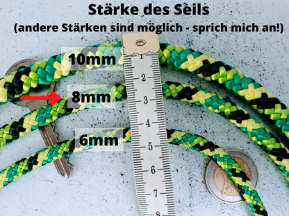 Führleine mit 2 Karabinern für kleine bis mittelgroße Hunde aus 8mm Seil